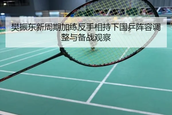 樊振东新周期加练反手相持下国乒阵容调整与备战观察